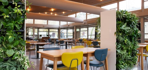 Verplaatsbare plantendivider