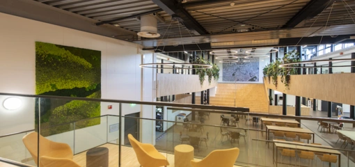 De magie van moswanden