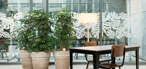 Zo helpt beplanting je kantoor de winter door