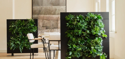 De voordelen van een groene plantendivider