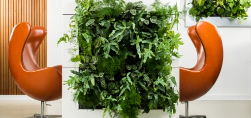 Akoestische planten in gebouwen