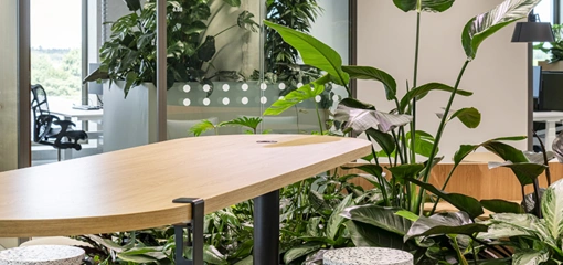 Biophilic design bij Sweco