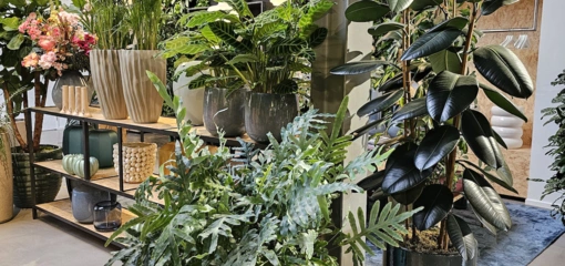 Lente Uitverkoop 2024