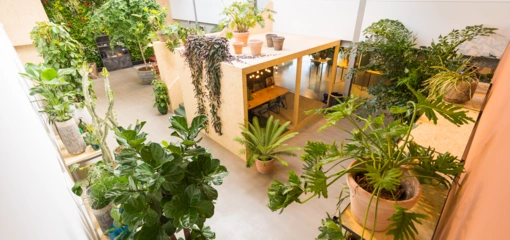 Sample Sale bij De Klerk