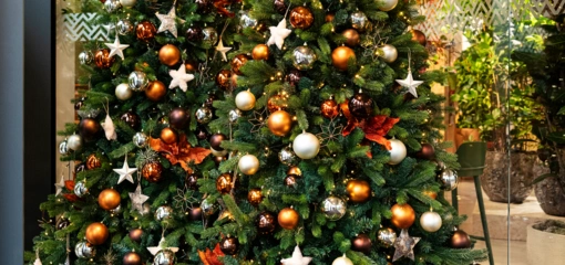 Last-minute kerstgroen nodig? Wij hebben nog plek!