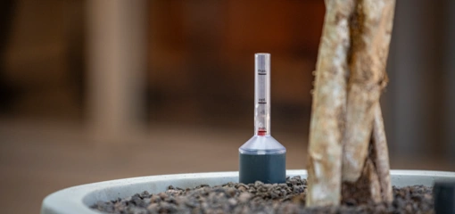 Hydrocultuur: planten die groeien terwijl jij je werk doet