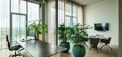 Thuiswerken in het groen? Zo ziet dat eruit