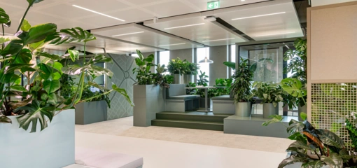 Waarom interieurbeplanting essentieel is voor gezonde werkplekken