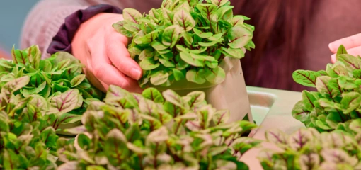 Samenwerking Vegger X De Klerk