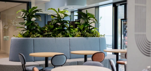 Interieurbeplanting bij nieuwbouw of renovatie