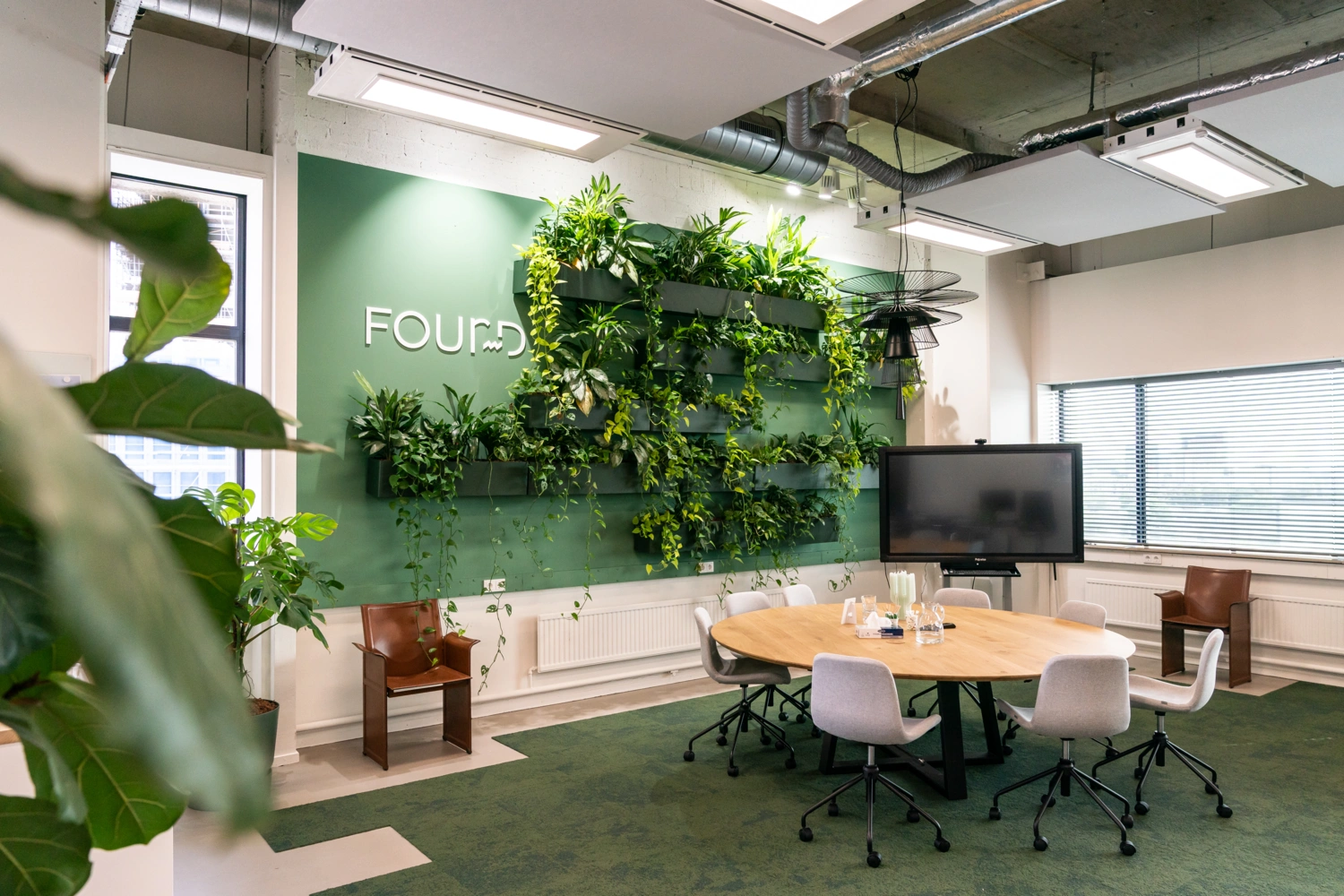 Plant in ruime woonkamer