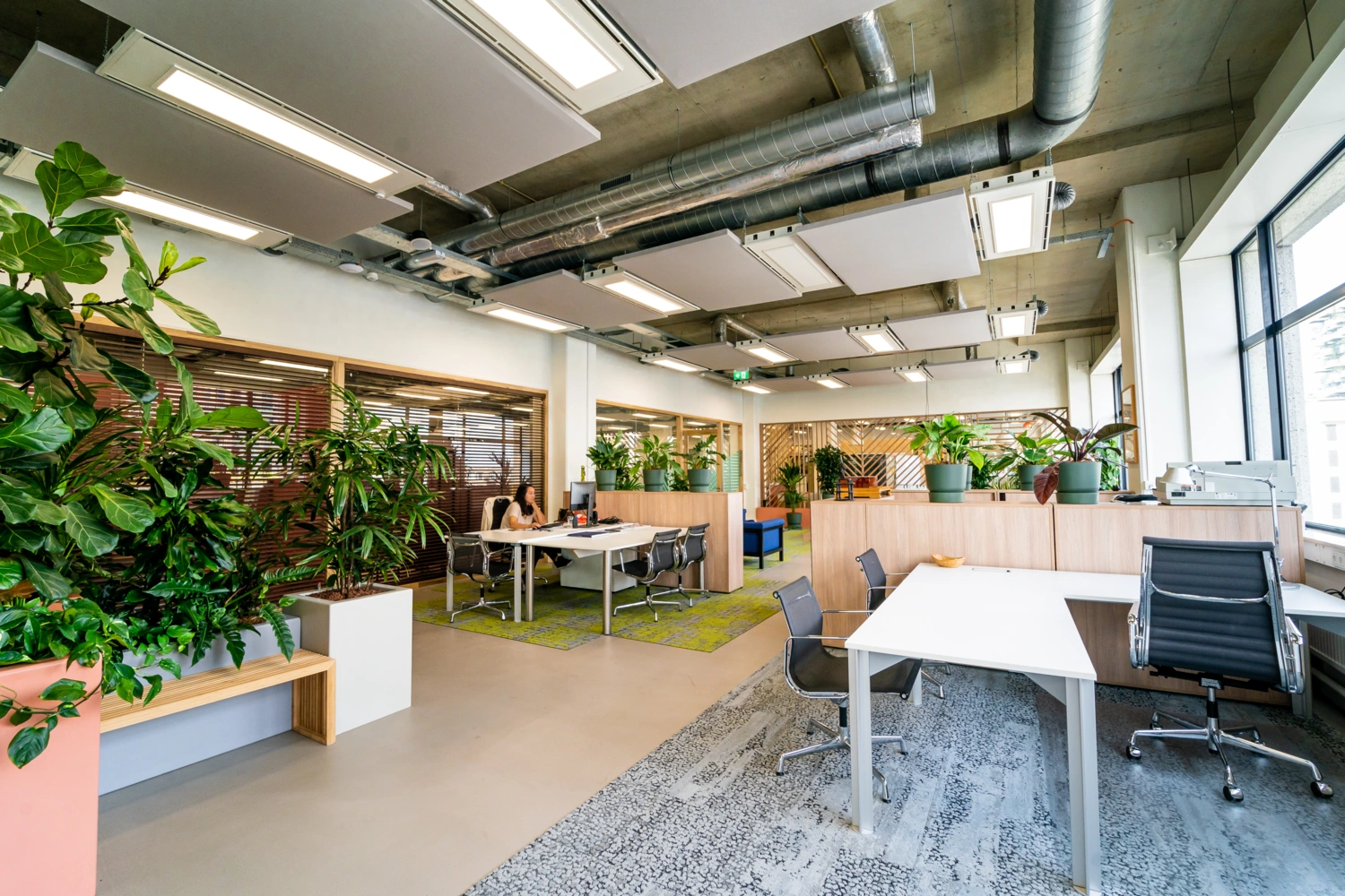 Planten op vensterbank