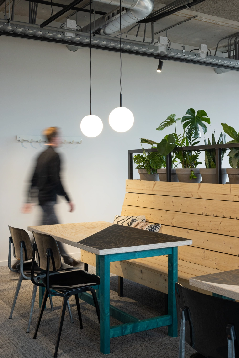 Plant in ruime woonkamer