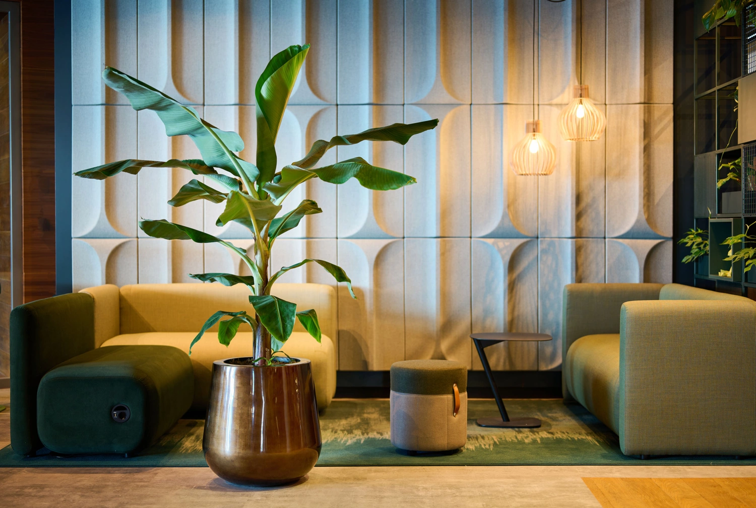 Plantenbak op kantoor