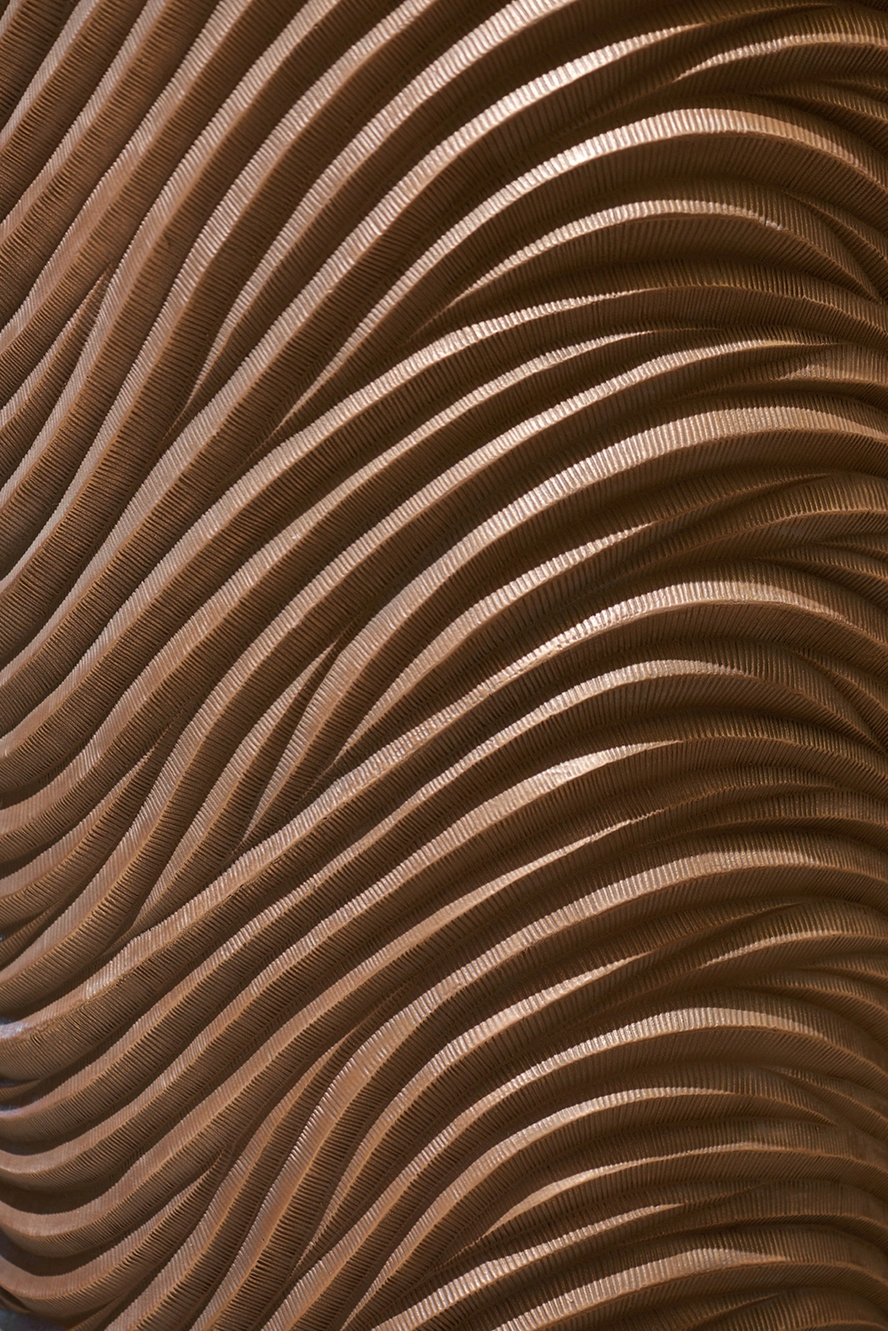 Planten in wachtruimte