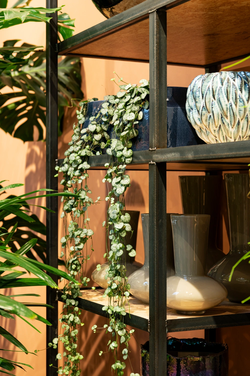 Planten op vensterbank