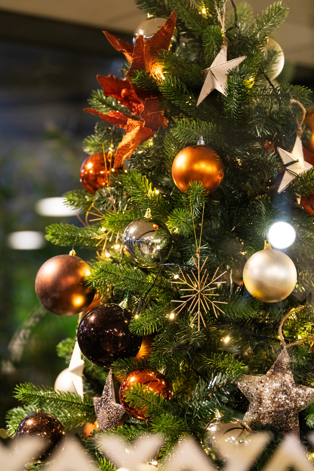 Plant in ruime woonkamer