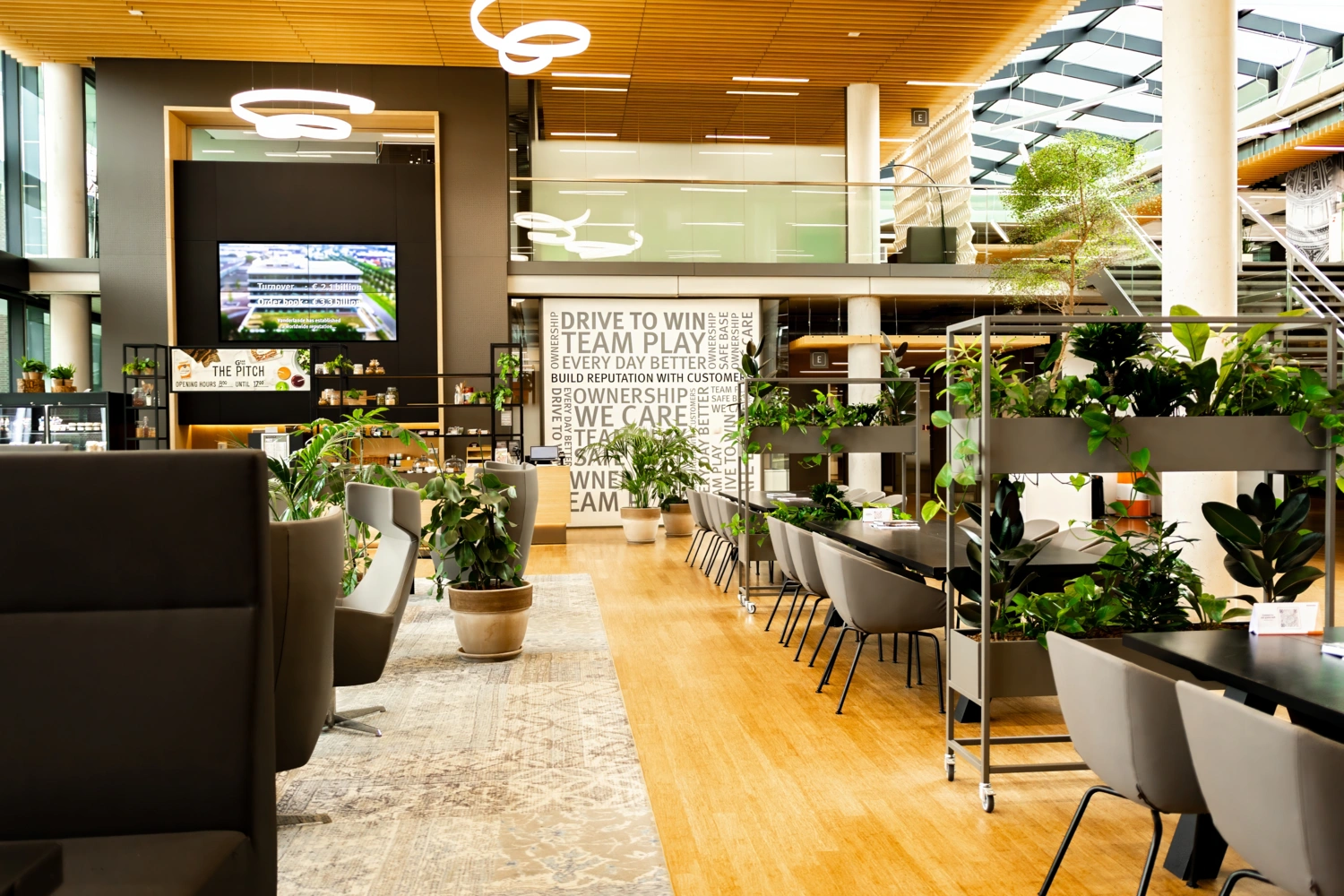 Plant in woonkamer bij eettafel