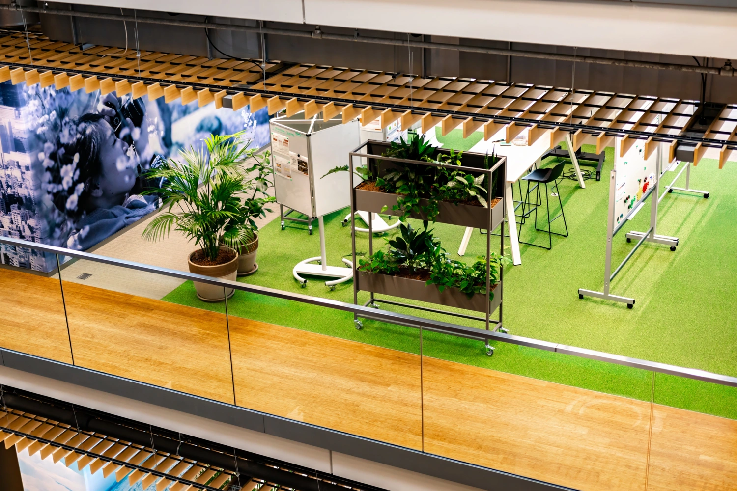 Planten op vensterbank