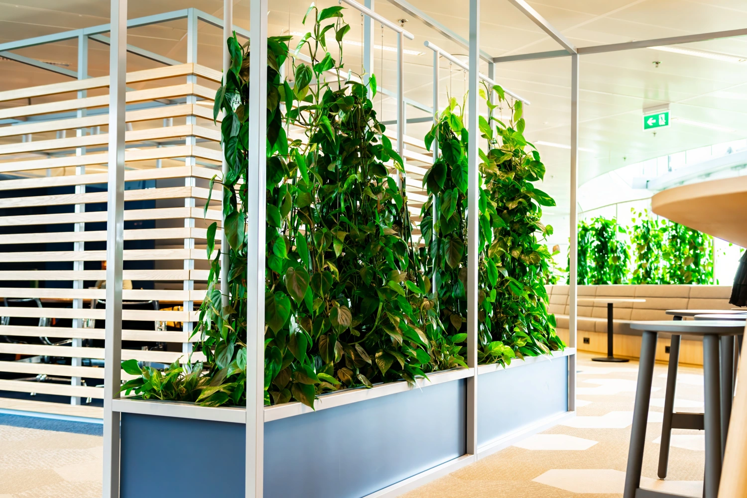 kantoor met beplanting