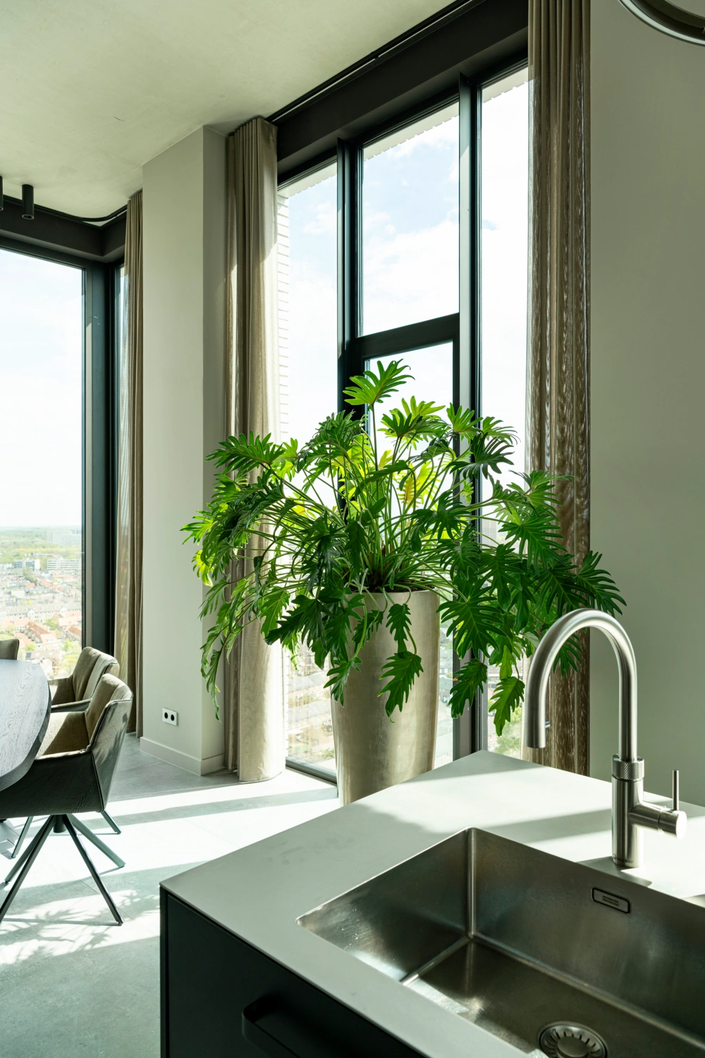 Plant in woonkamer bij eettafel