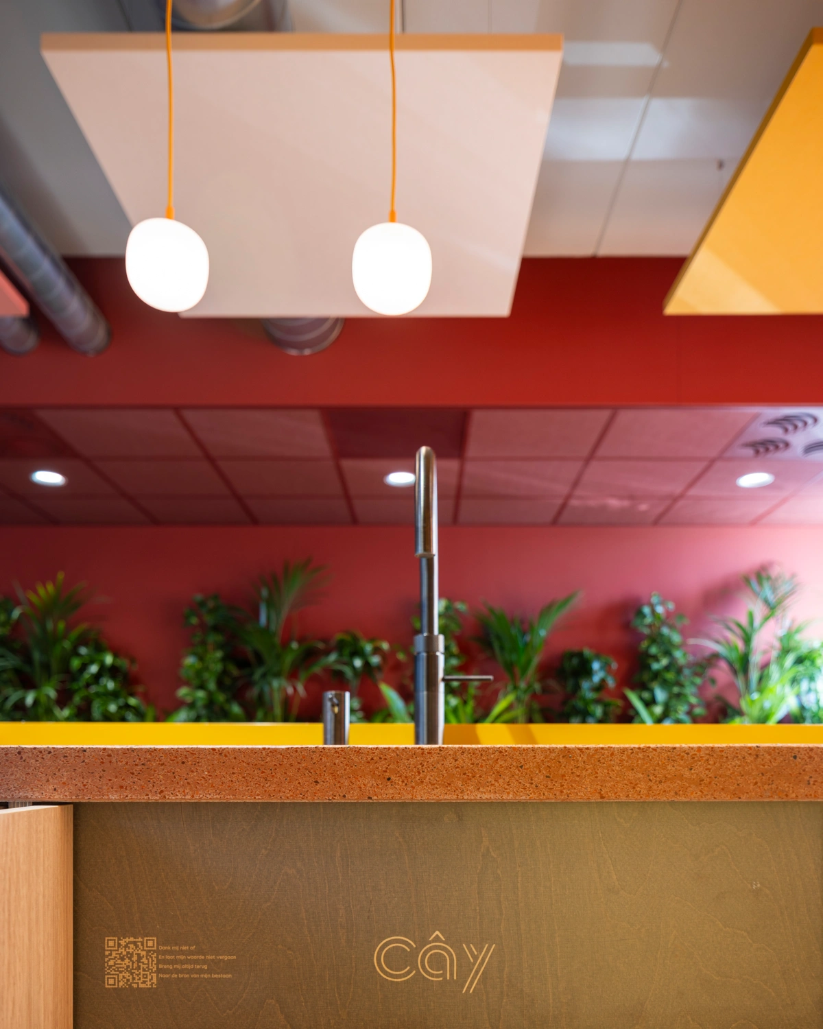 Planten op vensterbank