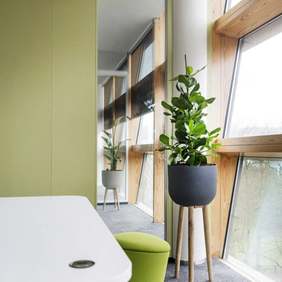 groene kantoorplant eindhoven