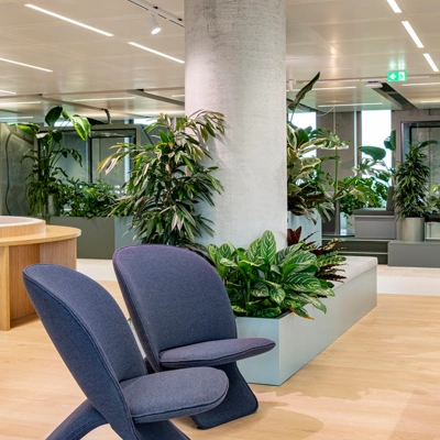 Planten in wachtkamer