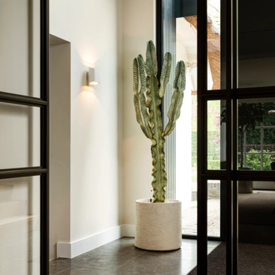 Cactus in entreehal