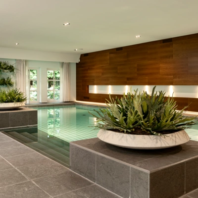 Kunstplanten bij zwembad